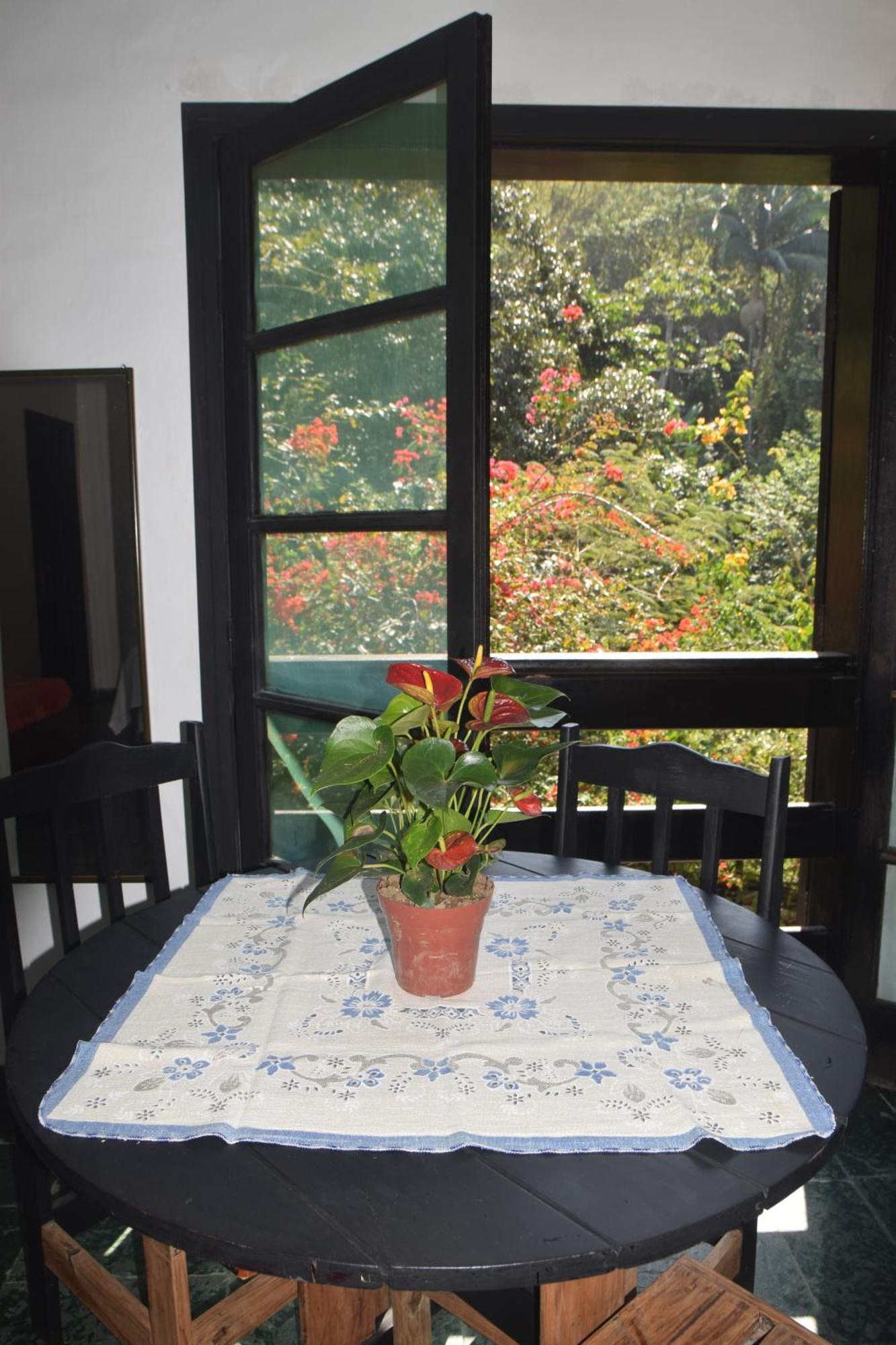 Chales Suites Ubatuba Paradise Toninhas エクステリア 写真